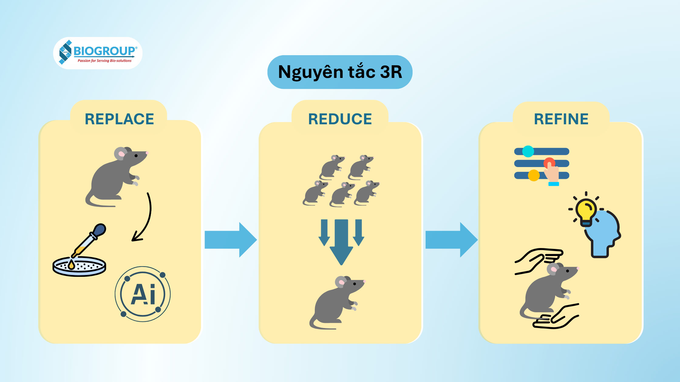 Nguyên tắc 3R nghiên cứu phi động vật